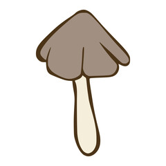 INOCYBE ERUBESCENG MUSHROOM VECTOR ILLUSTRATION