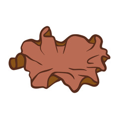 WOOD EAR MUSHROOM VECTOR ILLUSTRATION