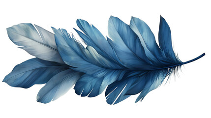 Png of A stunning blue feather showcasing intricate details and textures, perfect for nature-inspired designs on transparent background.