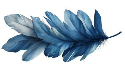 Png of A stunning blue feather showcasing intricate details and textures, perfect for nature-inspired designs on transparent background.