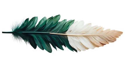 Png of Elegant green and white feather on transparent background.