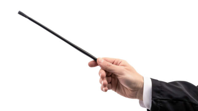 Businessman holding a pointer stick on transparent background