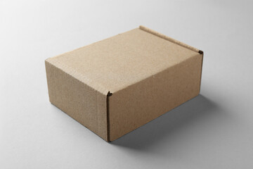 One blank cardboard box on white background. Mockup for design