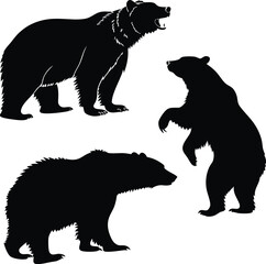  Set of Bear Silhouettes on White Background in Vector Format