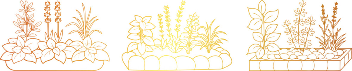 Herb Garden Line Art Vector with Basil, Thyme, Rosemary, and Lavender – Botanical Illustration