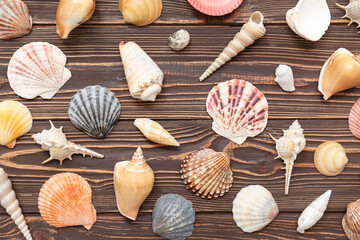 Many different sea shells on wooden background