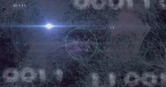 Digital spider animation with binary code and abstract light effects