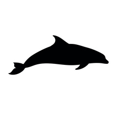 Vector flat dolphin silhouette isolated on white background