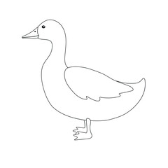 Vector flat hand drawn outline duck isolated on white background