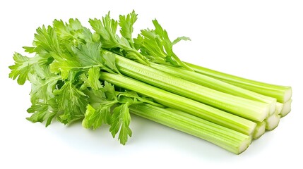 celery isolated on white background