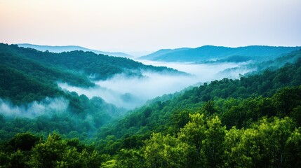 Misty mountain valley landscape.