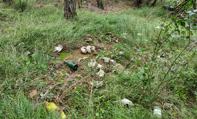 Lamb carcasses together with rubbish in the wild