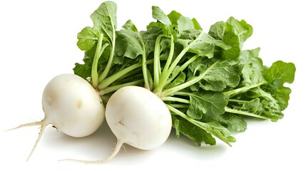 fresh white radish on a white background