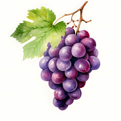 Fototapeta premium Digital technology grape watercolor design illustration