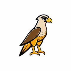 vector illustration of a bird falcon