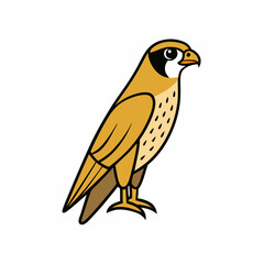 vector illustration of a bird falcon