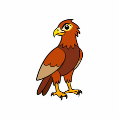 eagle isolated on white background hawk