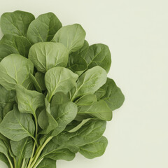 Fresh bunch of spinach leaves isolated on plain background