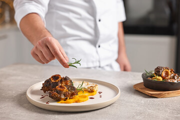 Professional chef serving dish at table indoors, closeup