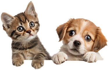 Obraz premium The cute kitten and puppy couple cartoon character showcases love, joy, and playful charm. 