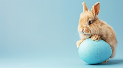 Easter Adorableness: A Fluffy Bunny's Blue Egg - Holding Delight