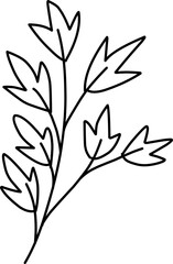 Line Art Floral Leaf Element