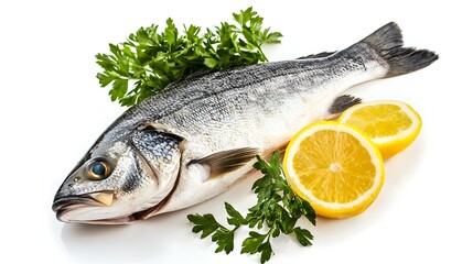 fish seabass Isolated on the white background