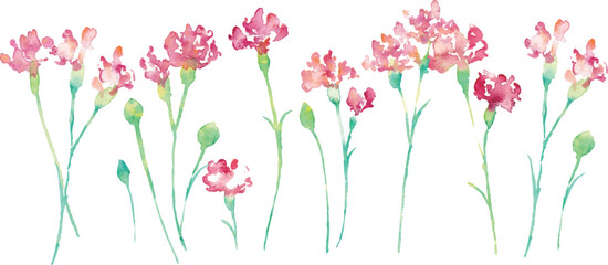 水彩画。水彩タッチの母の日カーネーションイラスト。母の日のカーネーション背景ベクターイラスト。Watercolor painting. Mother's Day carnation illustration with watercolor touch. Mother's day carnation background vector illustration.