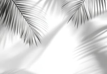 Fototapeta premium Elegant Green Palm Leaves Casting Soft Shadows on Light Background for Tropical and Nature Inspired Design Concepts