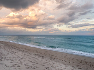 The Beach at John D MacArthur State Park, Florida