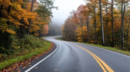 Obraz premium Autumn road winding through misty forest