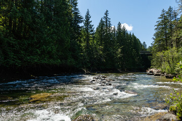 Oyster River Hiking area beautiful mountain nature with tall trees and blue sky Vancouver island British Columbia Canada