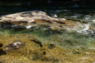 Fototapeta premium Oyster River Hiking area beautiful water nature Vancouver island British Columbia Canada