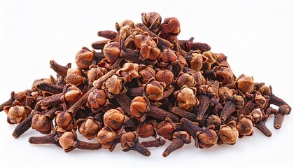 Obraz premium carnation spices isolated