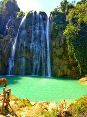 waterfall in the forest