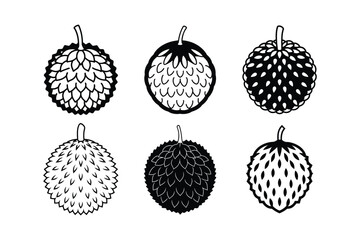 Breadfruit – Artocarpus altilis vector line art illustration