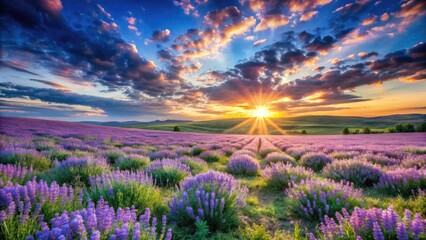 Fototapeta premium A wide-angle view captures a breathtaking spring meadow: periwinkle fields, lavender sky, and vibrant blooming flowers.