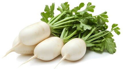 Daikon radishes isolated on white background