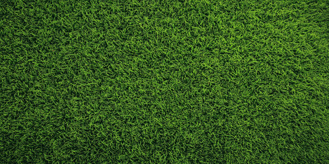 Obraz premium green grass background,blank background for banner poster cover design