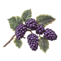 Fototapeta premium Lush Blackberry Branch with Detailed Leaves A High-Resolution Image of Juicy Berries.