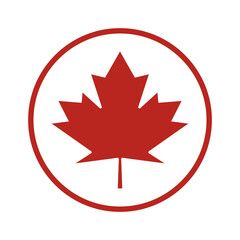 Fototapeta premium Maple leaf logo design