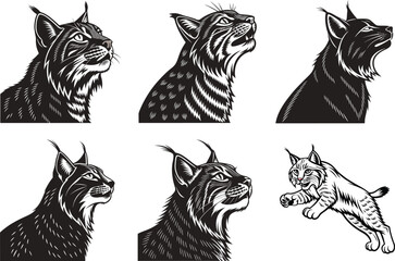 Lynx Bundle Premium Silhouette Collection for Stunning Designs.