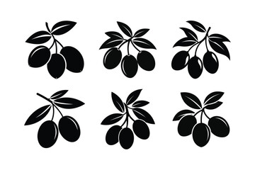 Ceylon Olive – Elaeocarpus serratus silhouette vector illustration