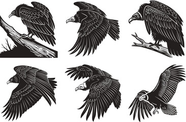 Majestic Vultures A Collection of Dynamic Silhouette.
