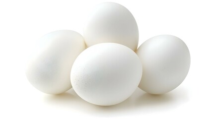 white egg isolated on white background
