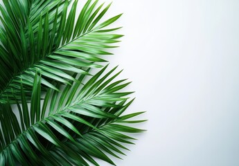Lush Green Tropical Leaves on a Minimalist Background for Decorative or Nature-Themed Projects and Designs