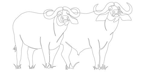 Two African Buffalo in Minimalist Line Art Style