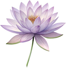 A stunning Lotus flower showcasing grace and elegance, representing purity and serenity in nature. 