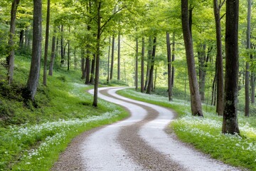 Fototapeta premium Winding gravel road leading through a lush green forest