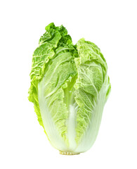 Fresh chinese cabbage leaf isolated. Green leaves pattern